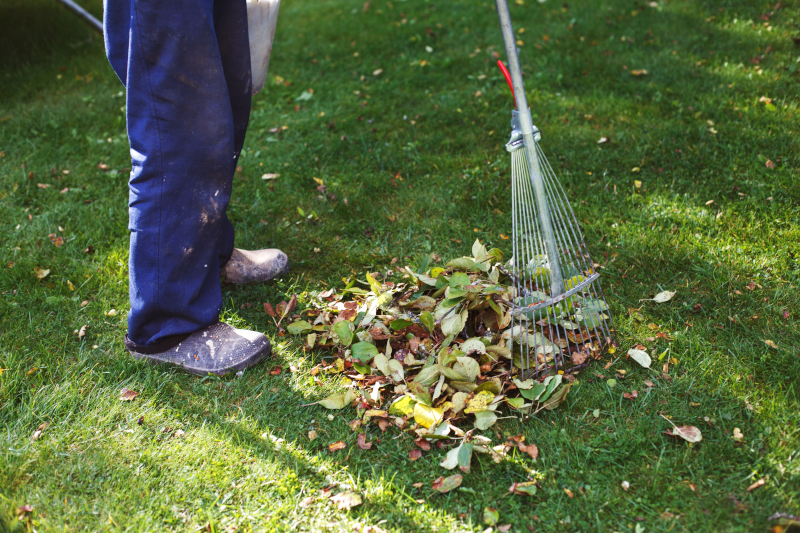 Spring and Fall Cleanups